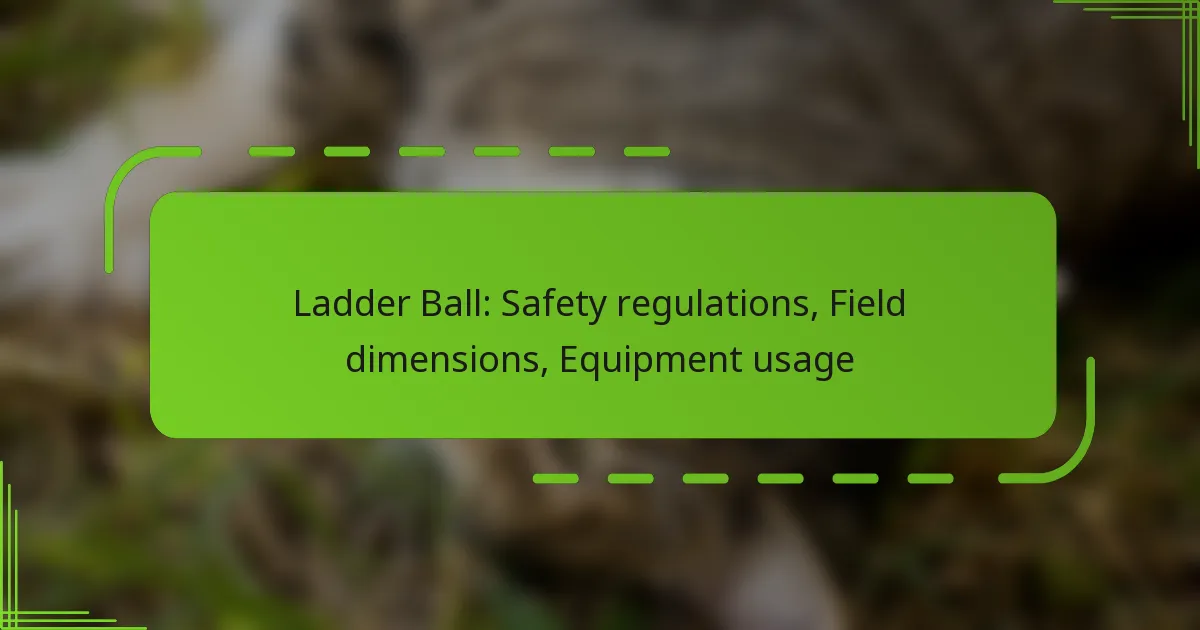 Ladder Ball: Safety regulations, Field dimensions, Equipment usage
