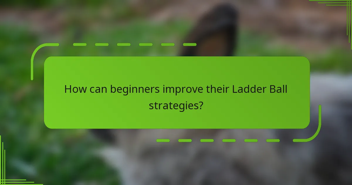 How can beginners improve their Ladder Ball strategies?