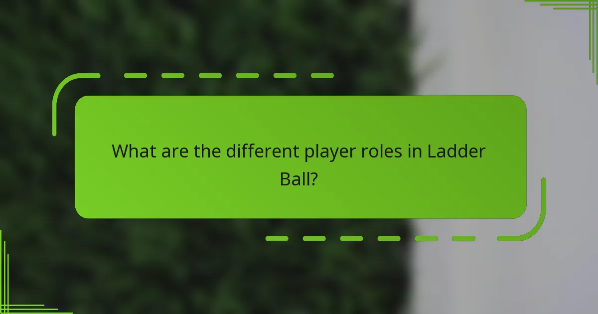 What are the different player roles in Ladder Ball?